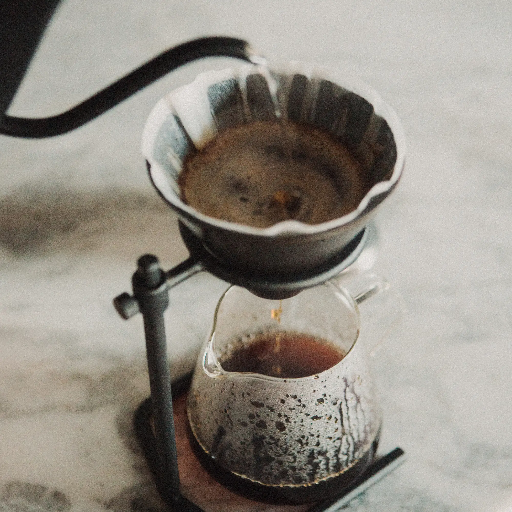 Kinto - SCS-S04 stand for Slow Coffee 4 cups  - Image 5