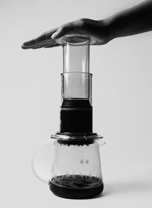 DISC 63 FAST – Filter for immersion method Sibarist - Image 4